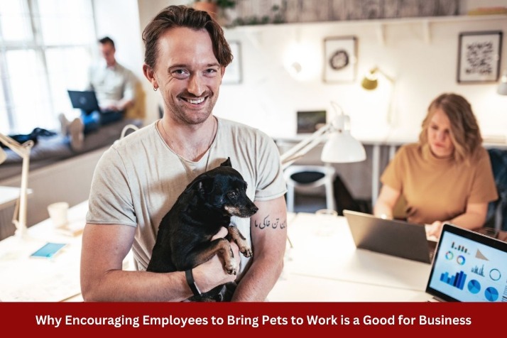 Residing In Portugal In 2025: 19 Execs And Cons Of Shifting As An Expat